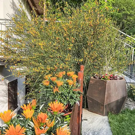 Vakantiehuis Freistehendes Haus Les Etoiles Bellaggio By Interhome